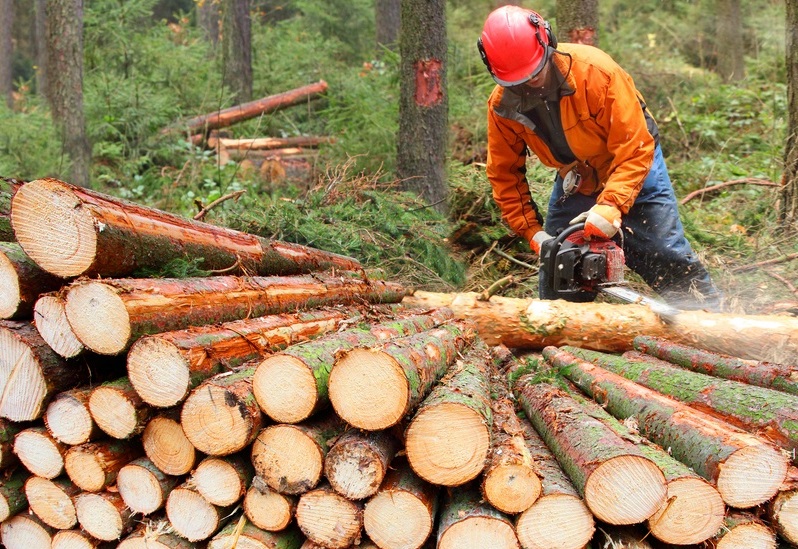 Logging-Company-DuPont-WA