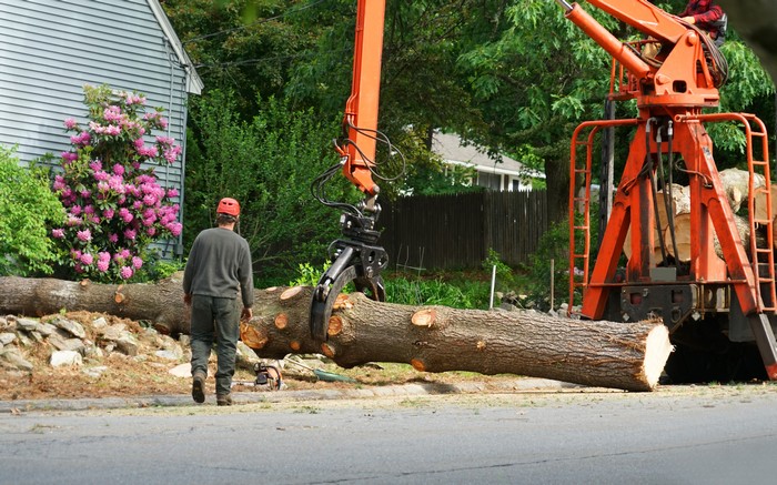 Home Tree Maintenance DuPont Home Tree Maintenance
