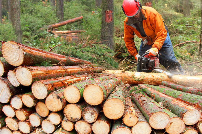 Logging-Company-Graham-WA