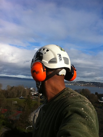 Tree-Climbing-Lakewood-wa