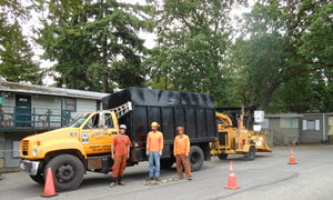 Tacoma property tree care