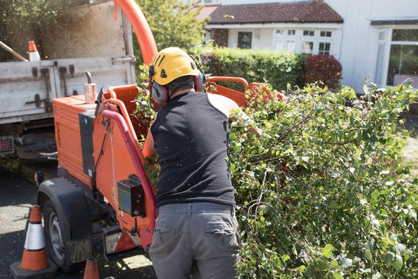 Tumwater Residential Tree Pruning Tumwater Residential tree pruning
