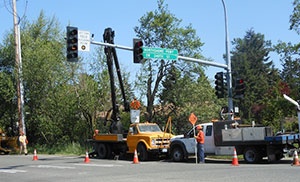 Best Bonney Lake tree removal in WA near 98391