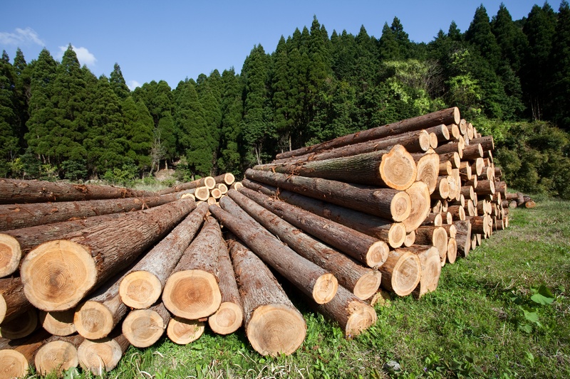Logging-Companies-Ruston-WA