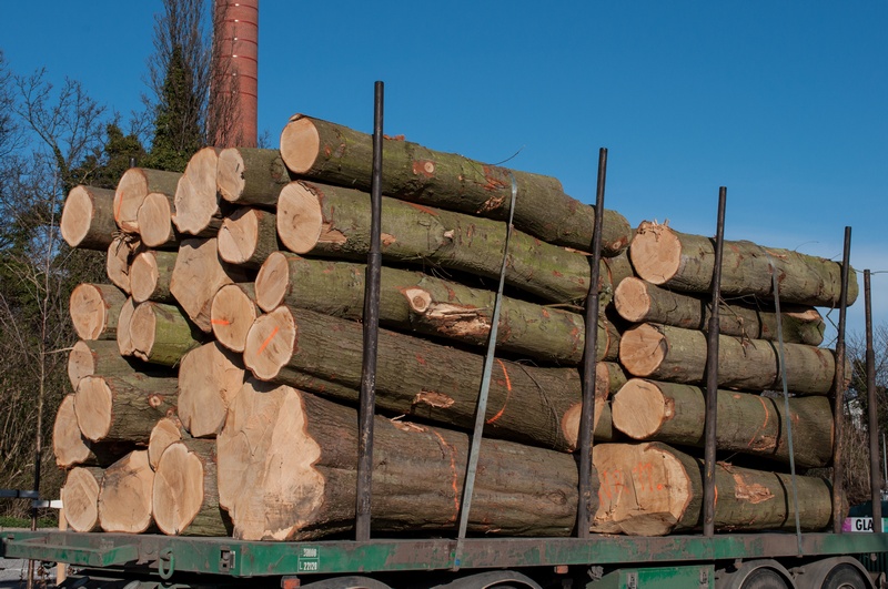 Logging-Company-Edgewood-WA