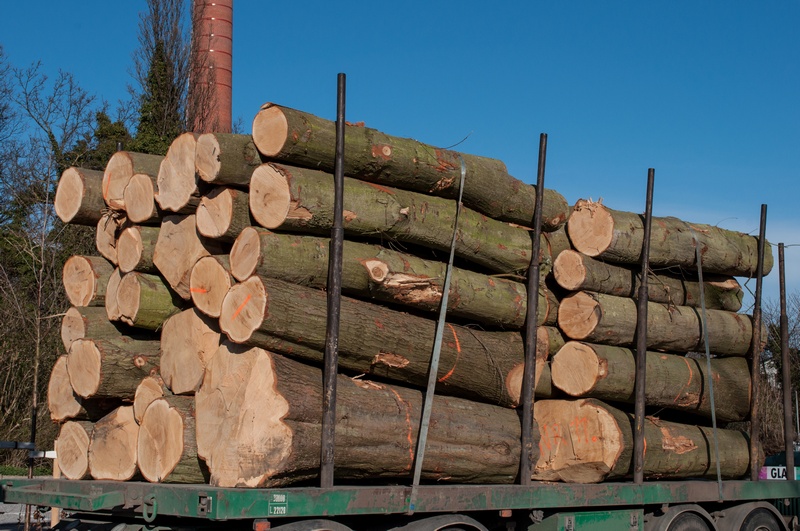 Residential-Logging-Fife-WA