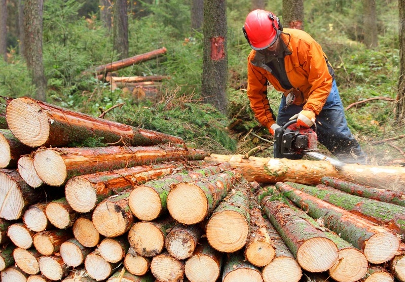 Residential-Logging-Milton-WA