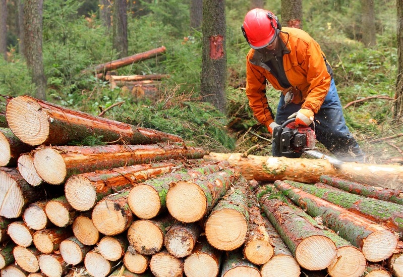 Residential-Logging-Pierce-County-WA