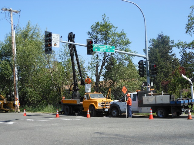 Tree-Removal-Federal-Way-WA