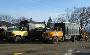 Midland Tree Removal Services Professional Midland Tree Removal Services in WA near 98445