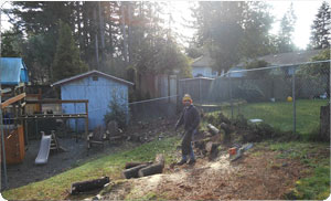 Tree-Service1-Gig-Harbor-WA