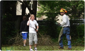 Best Midland tree trimming in WA near 98445