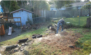 Tree-Service-Puyallup-WA