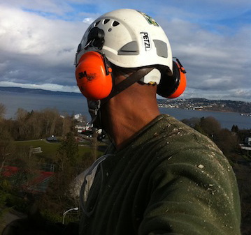 Pruning-Large-Trees-Tacoma-WA