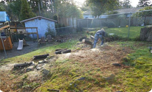 stump-removal-tacoma-wa1