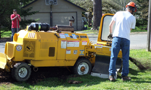 Stump-Grinding-Bonney-Lake-WA