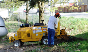 Stump-Grinding-Tacoma-WA