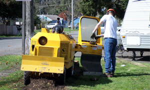 Stump-Removal-Bonney-Lake-WA