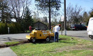 stump-removal-gig-harbor-wa