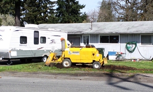 stump-removal-university-place-wa