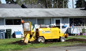 Tree-Care-Tacoma-WA