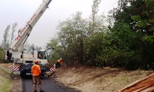 tree-service-pierce-county-wa